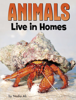 Animals Live in Homes