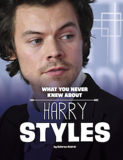 What You Never Knew About Harry Styles