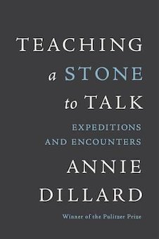 Teaching a Stone to Talk: Expeditions and Encounters