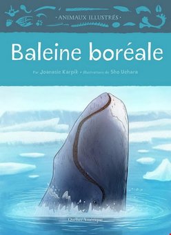 Baleine Boreale