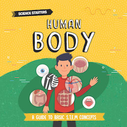 Human Body