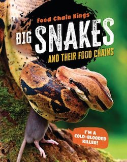 Big Snakes and Their Food Chains