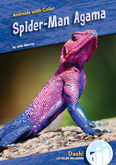 Spider-Man Agama