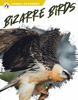 Bizarre Birds