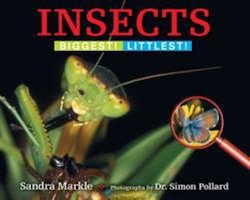 Insects: Biggest! Littlest!