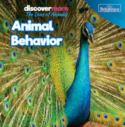 Animal Behavior