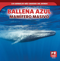 Ballena Azul: Mamífero Masivo (Blue Whale: Massive Mammal)