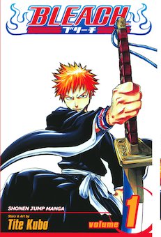 Bleach 1