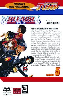 Bleach 5