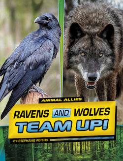 Ravens and Wolves Team Up!