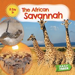 The African Savannah