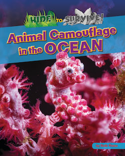 Animal Camouflage in the Ocean