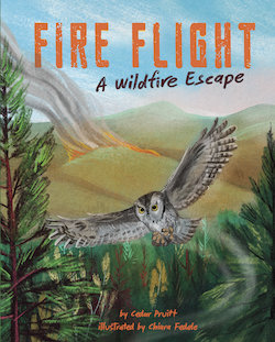 Fire Flight: A Wildfire Escape