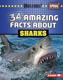 34 Amazing Facts About Sharks