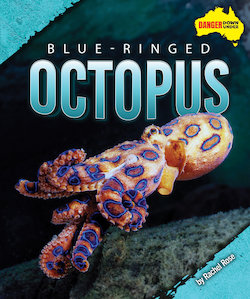 Blue-Ringed Octopus