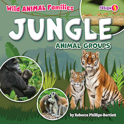 Jungle Animal Groups