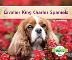 Cavalier King Charles Spaniels