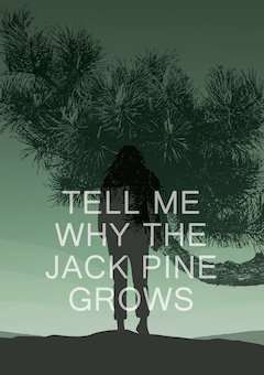 Tell Me Why the Jack Pine Grows