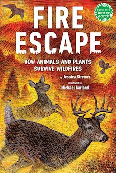 Fire Escape: How Animals and Plants Survive Wildfires