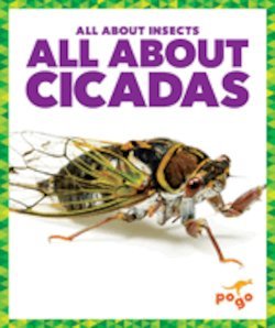 All About Cicadas