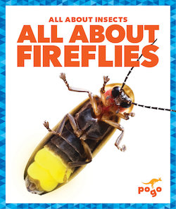 All About Fireflies