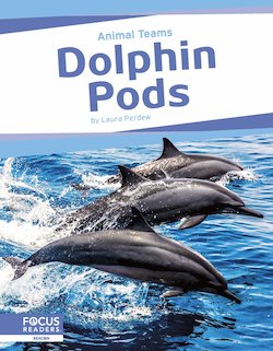 Dolphin Pods