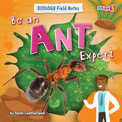 Be an Ant Expert