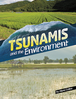 Tsunamis and the Environment