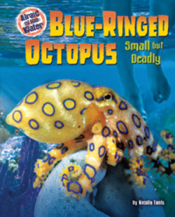 Blue-Ringed Octopus: Small but Deadly