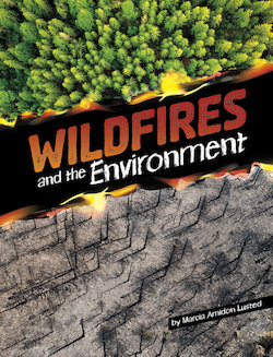 Wildfires and the Environment