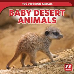 Baby Desert Animals