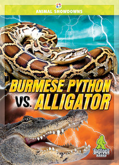 Burmese Python vs. Alligator