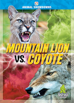 Mountain Lion vs. Coyote