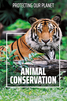 Animal Conservation