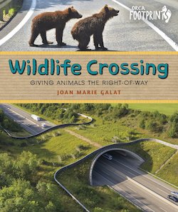 Wildlife Crossing: Giving Animals the Right-Of-Way