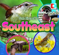 State Birds of the Southeast