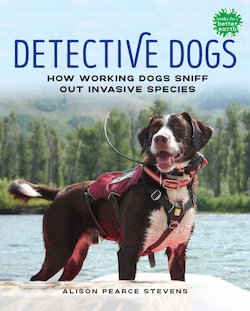 Detective Dogs: How Working Dogs Sniff out Invasive Species