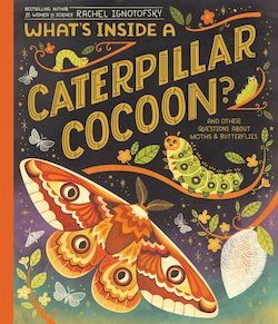 What's Inside a Caterpillar Cocoon?: And Other Questions About Moths and Butterflies