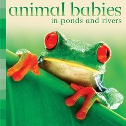 Animal Babies in Ponds and Rivers