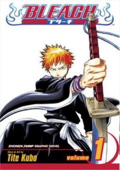 Bleach 1