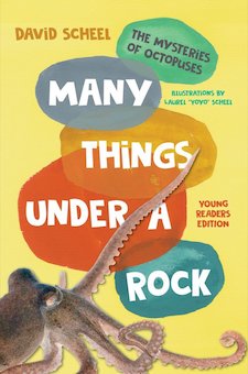 Many Things Under a Rock: The Mysteries of Octopuses (Young Readers Edition)