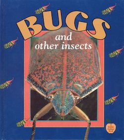 Bugs and Other Insects