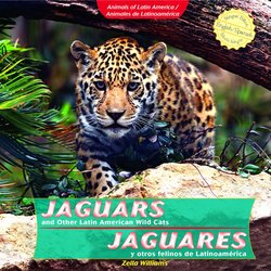 Jaguars and Other Latin American Wild Cats = Jaguares Y Otros Felinos De Latinoamerica: Jaguares Y Otros Felinos De Latino América