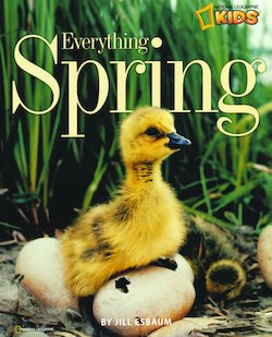 Everything Spring