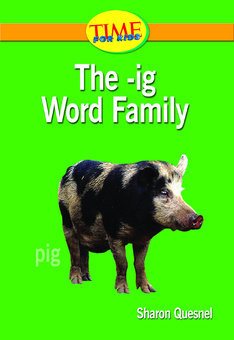 The -Ig Word Family