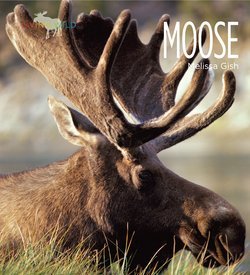 Moose