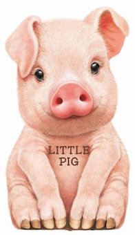 Little Pig