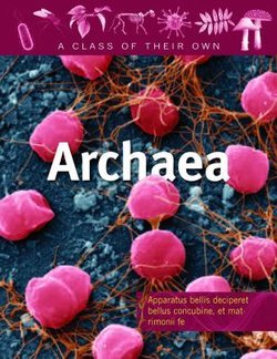 Archaea: Salt-Lovers, Methane-Makers, Thermophiles, and Other Archaeans