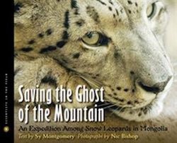 Saving the Ghost of the Mountain: An Expedition Among Snow Leopards in Mongolia