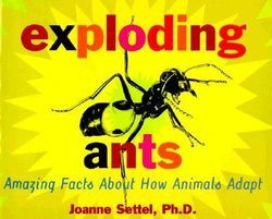 Exploding Ants: Amazing Facts About How Animals Adapt